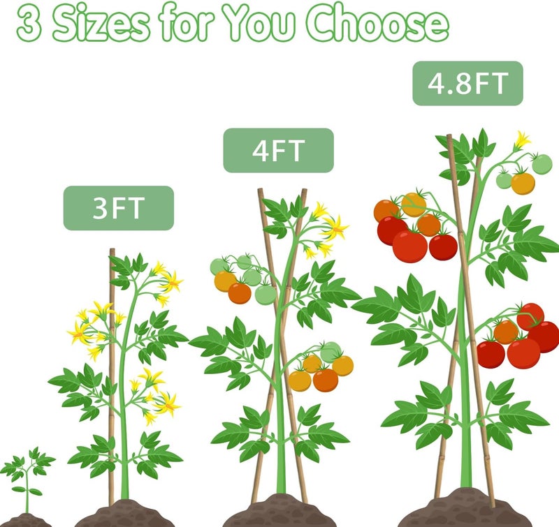 BOVITRO Bamboo Stakes,3FT Natural Bamboo Garden Stakes, 25Pcs Plant Stakes,Bamboo Sticks for Tomato,Beans,Vegetable and Climbing Plants - Image 3